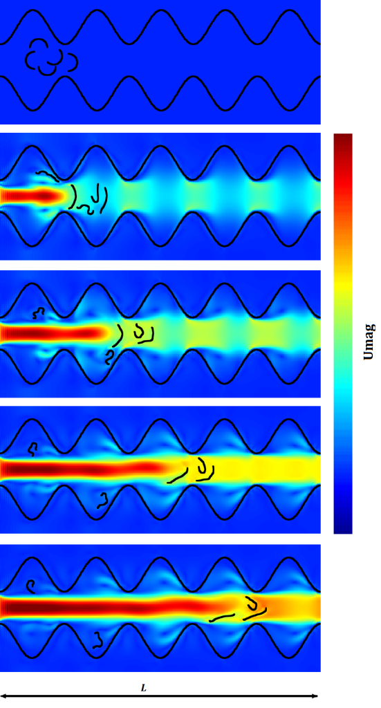 Five simulation panels showing deformable filaments moving through a channel with wavy walls and a colored velocity-magnitude field.